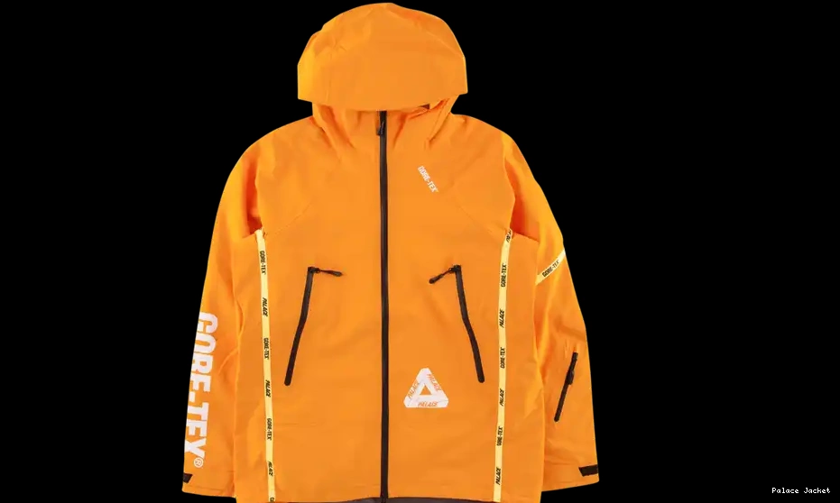 Palace Jacket Gore-Tex Palex 0606